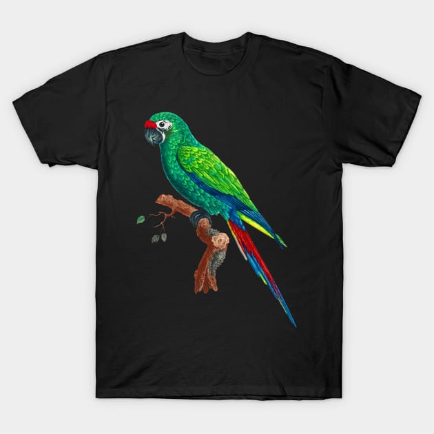 Black Panther Art - Beautiful Parrot 4 T-Shirt by The Black Panther